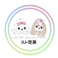 西安IU宠艺宠美培训学校