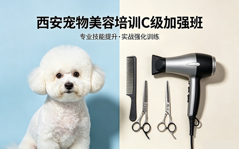 西安宠物美容培训C级加强班
