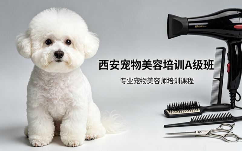 西安宠物美容培训A级班