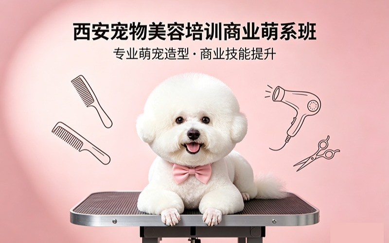 西安宠物美容培训商业萌系班
