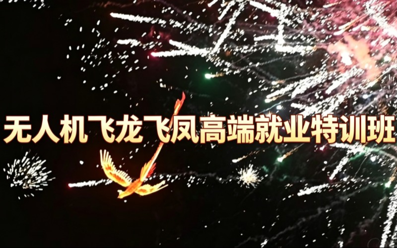 无人机飞龙飞凤高端就业特训班