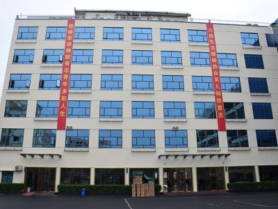 深圳龍合藝塾教育的教師怎么樣？