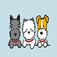 重庆棋炎宠美培训中心