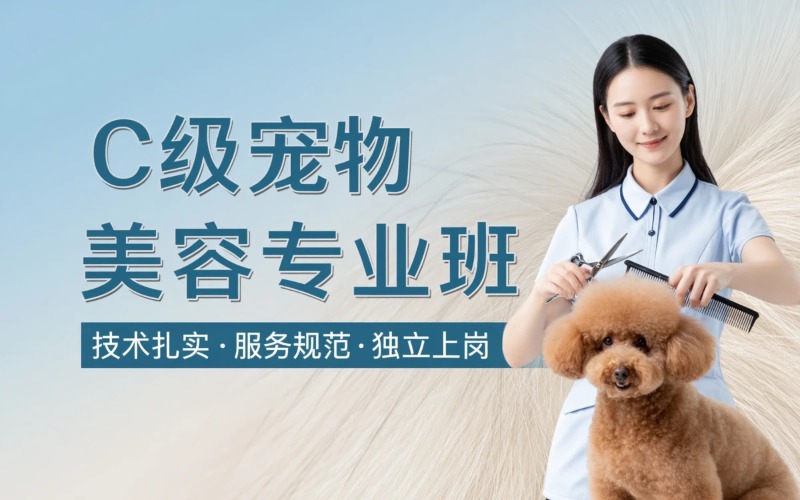 大庆宠物美容c级专业培训班