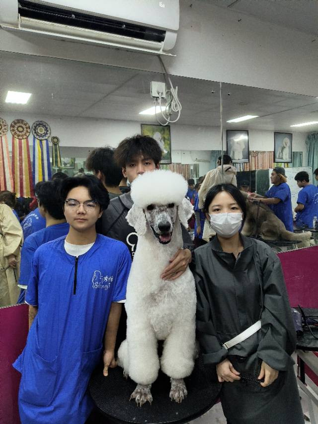 環(huán)境/教學(xué)