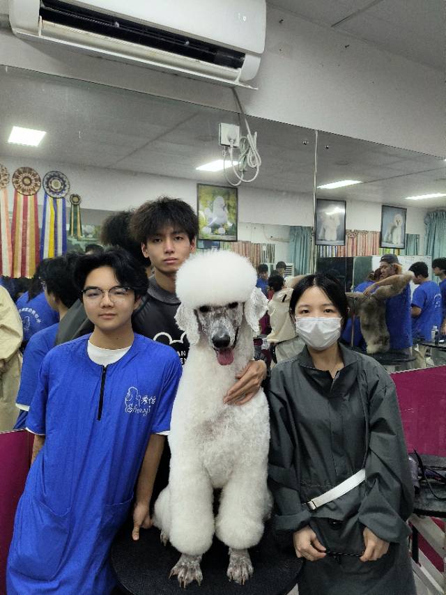 環(huán)境/教學(xué)