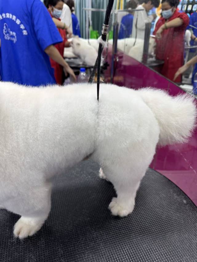 環(huán)境/教學(xué)