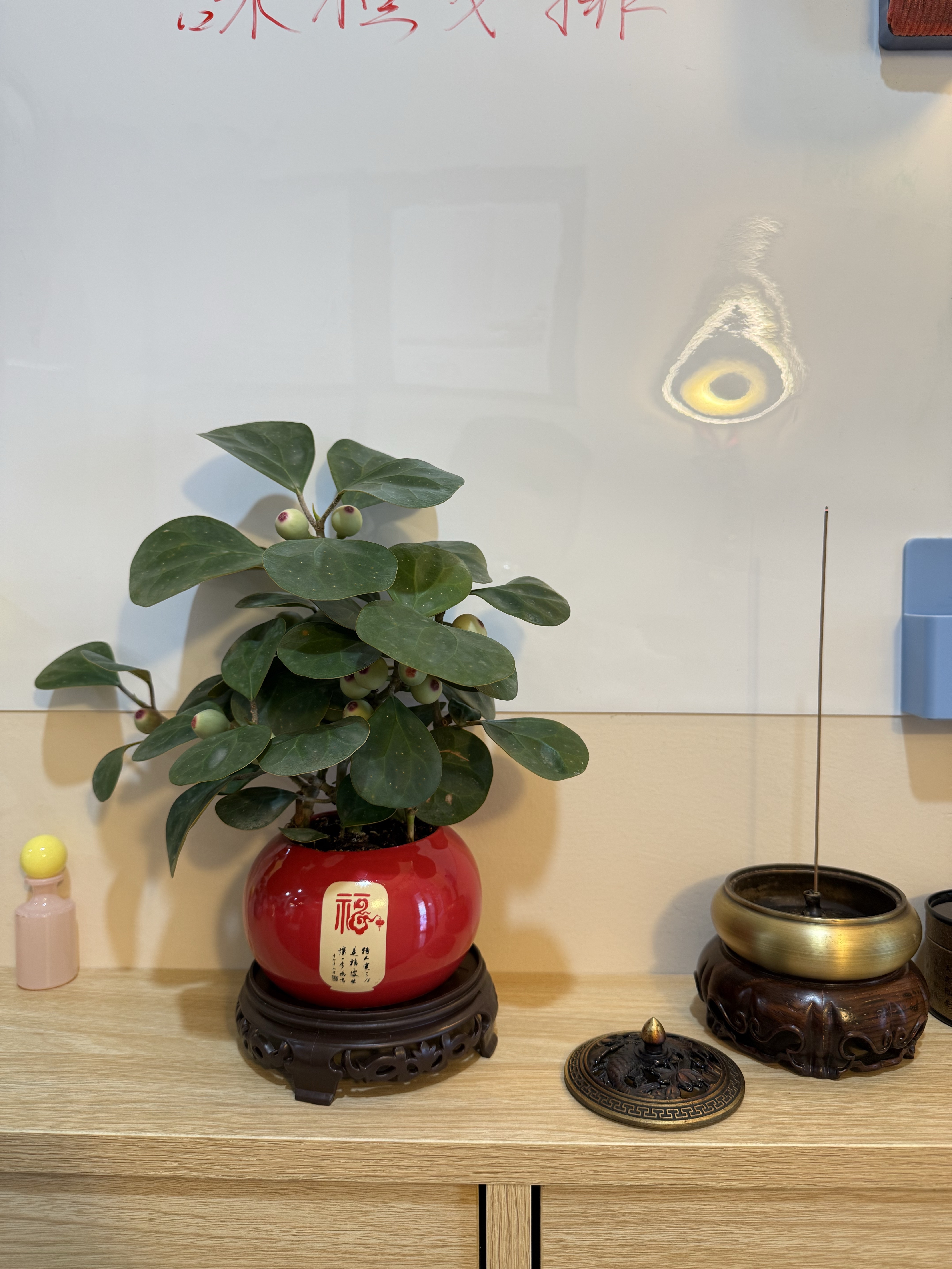 环境/教学