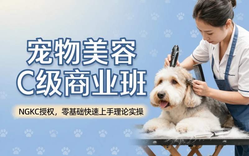 泰州专业宠物美容C级商业培训班