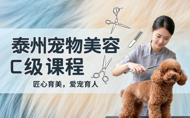 泰州宠物美容C级课程专业培训班