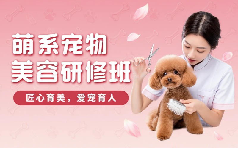泰州寵物美容萌系短期研修培訓(xùn)班