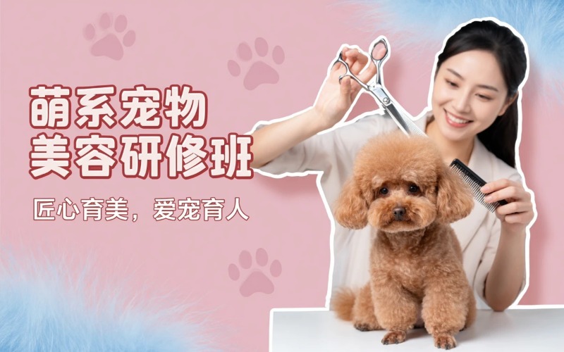 泰州寵物美容萌系研修專(zhuān)業(yè)培訓(xùn)班