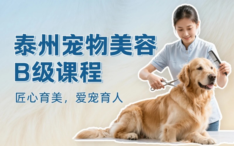 泰州宠物美容B级课程专业培训班