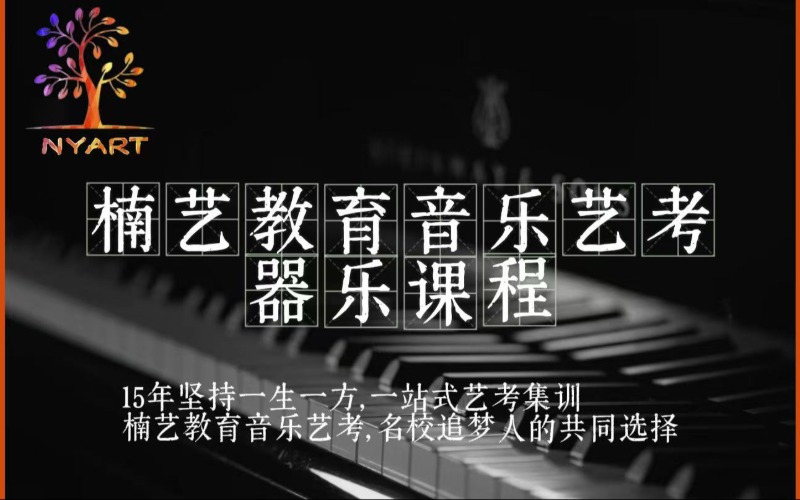 郑州艺考器乐课程专业培训班