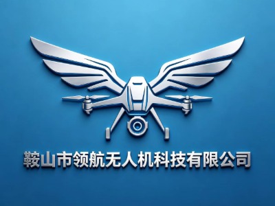 鞍山领航无人机培训基地的师资力量如何?