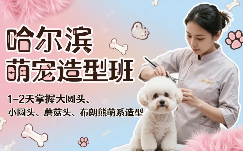 哈尔滨宠物萌系造型培训班