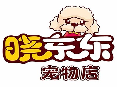  哈尔滨晓东东宠艺宠物美容培训学校的环境怎么样？