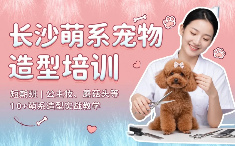 长沙宠物造型短期萌系培训班