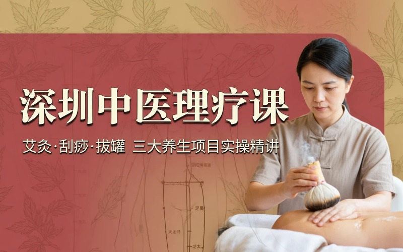 深圳中医理疗学习课程