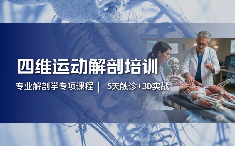成都四维运动功能解剖培训班