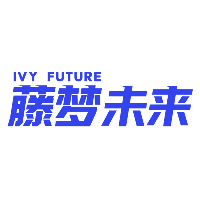 藤梦未来