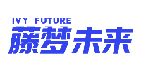 藤梦未来