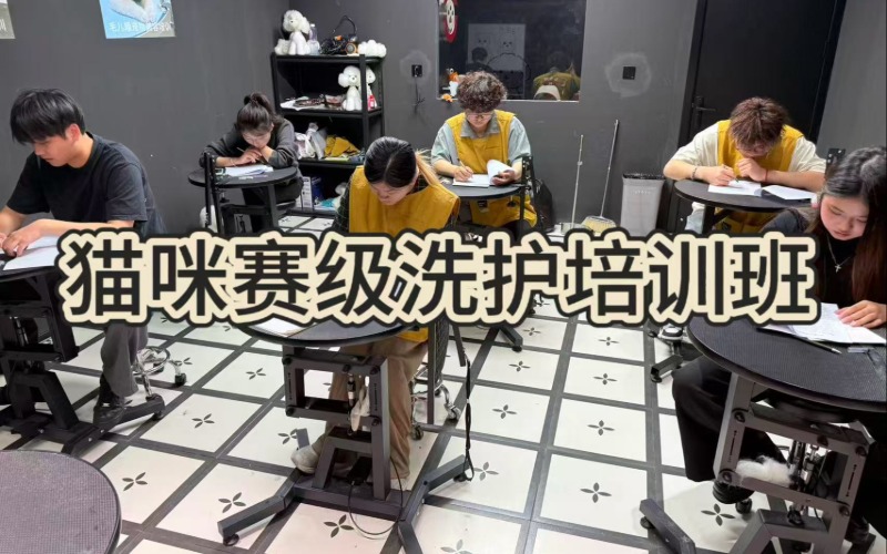 杭州毛儿顺宠物美容培训学校
