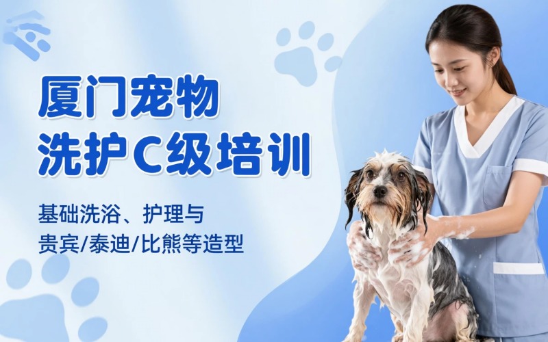 厦门宠物洗护/护理C级培训班