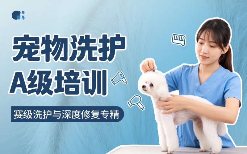 厦门宠物洗护/护理A级培训班