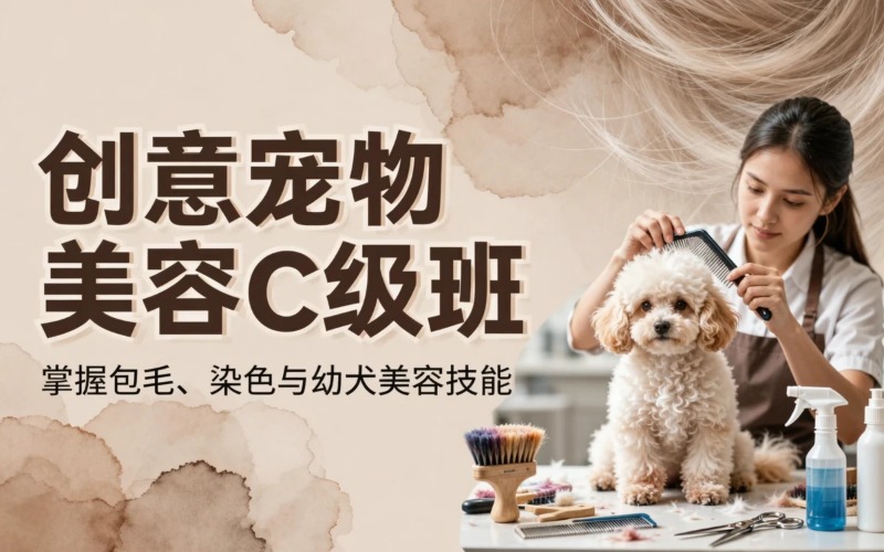 厦门宠物美容培训创意/高阶技能C级班