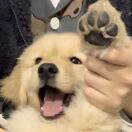 修*夺