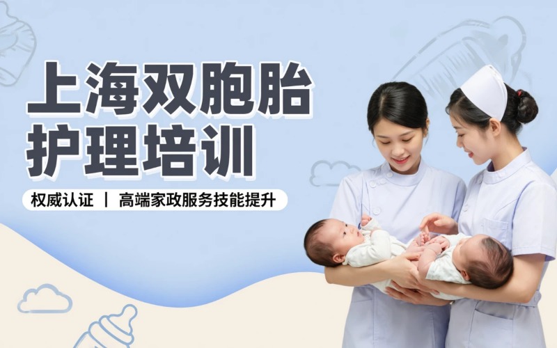 上海双胞胎护理专项培训班