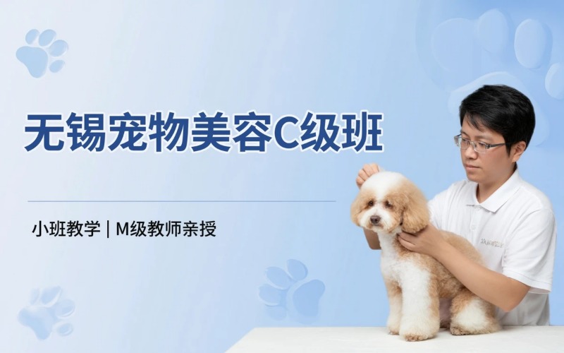 无锡宠物美容培训C级班课程