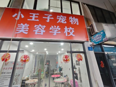 无锡小王子宠物美容培训学校的机构环境怎么样？