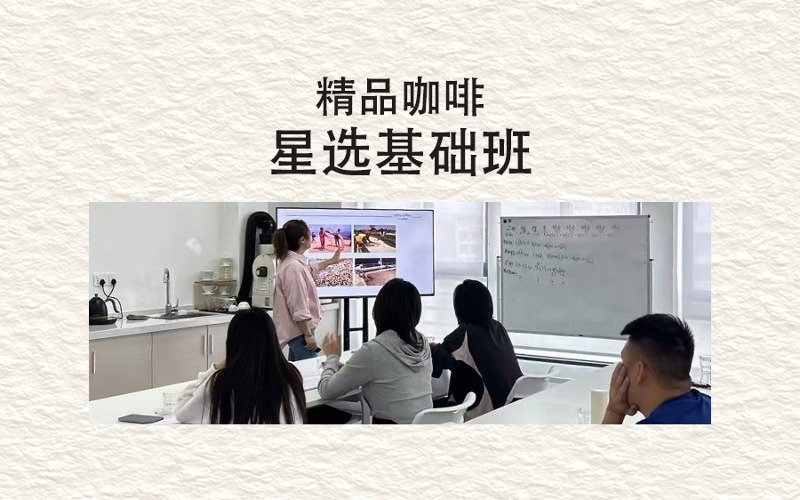 Nifty咖啡培训学院