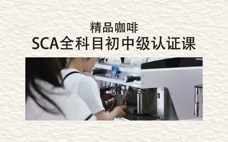 SCA咖啡师全科目初中级认证课程