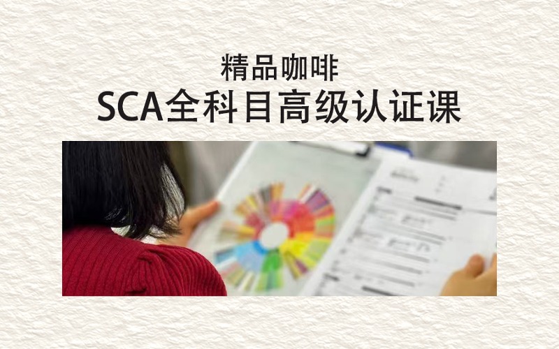 Nifty咖啡培训学院
