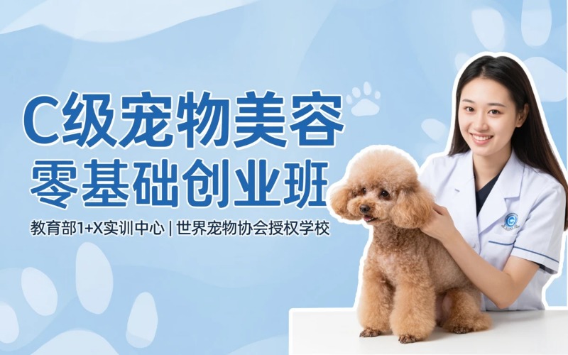 徐州宠物美容培训C级零基础创业班