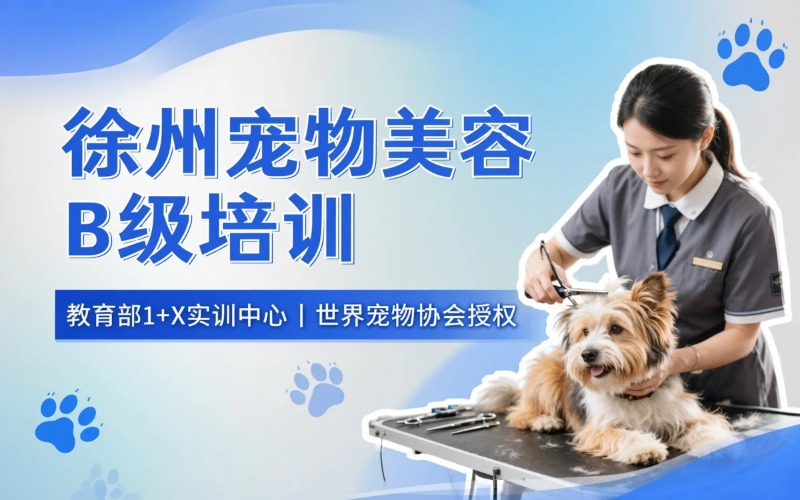 徐州宠物美容培训B级培训班