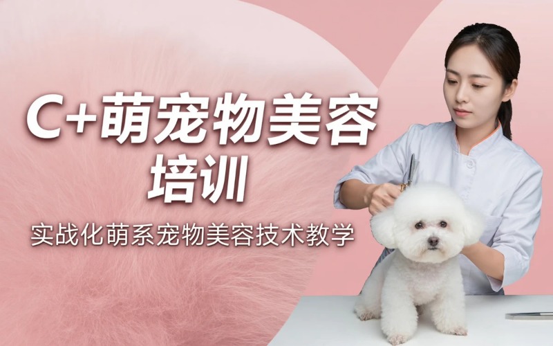 山西亚楠宠物美容培训学校