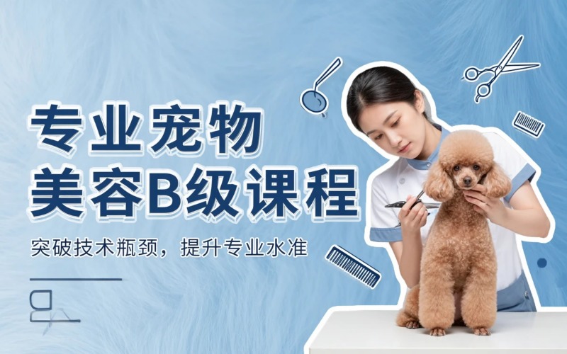 山西亚楠宠物美容培训学校