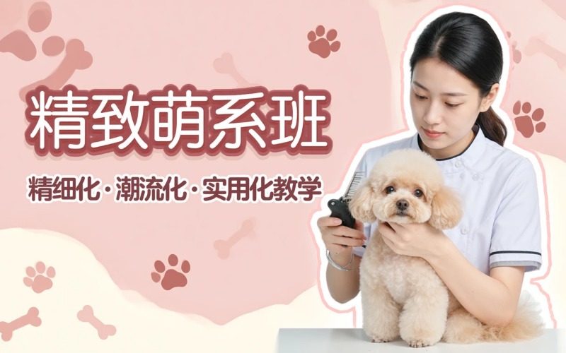 山西亚楠宠物美容培训学校