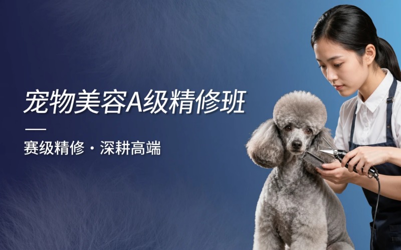 山西亚楠宠物美容培训学校