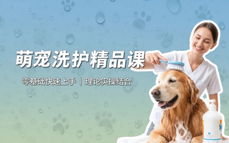 山西亚楠宠物美容培训学校