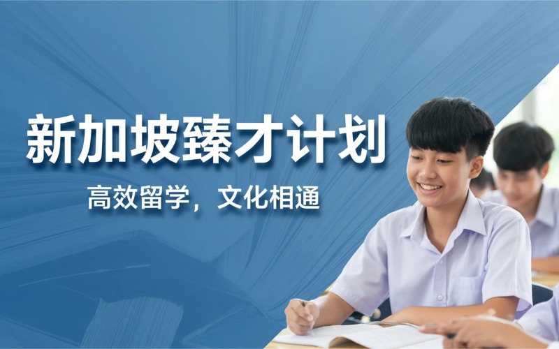 新加坡臻才专业服务项目