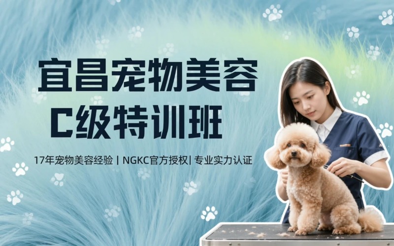 宜昌宠物美容培训C级特训班