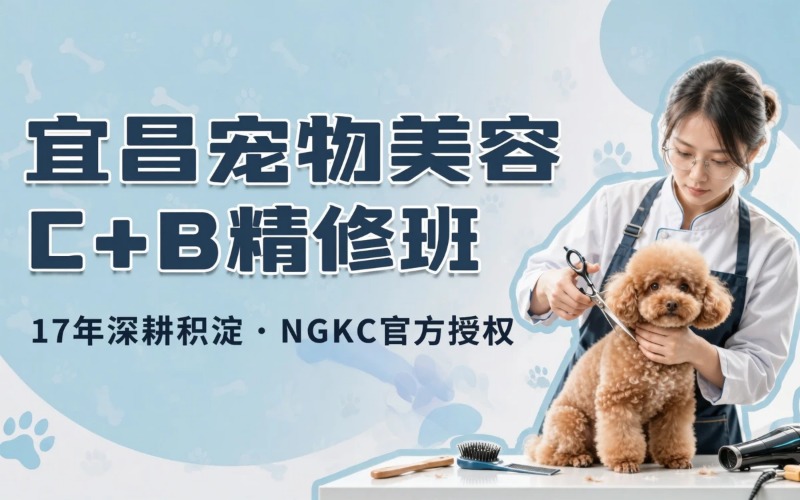 宜昌宠物美容培训C+B连读精修班