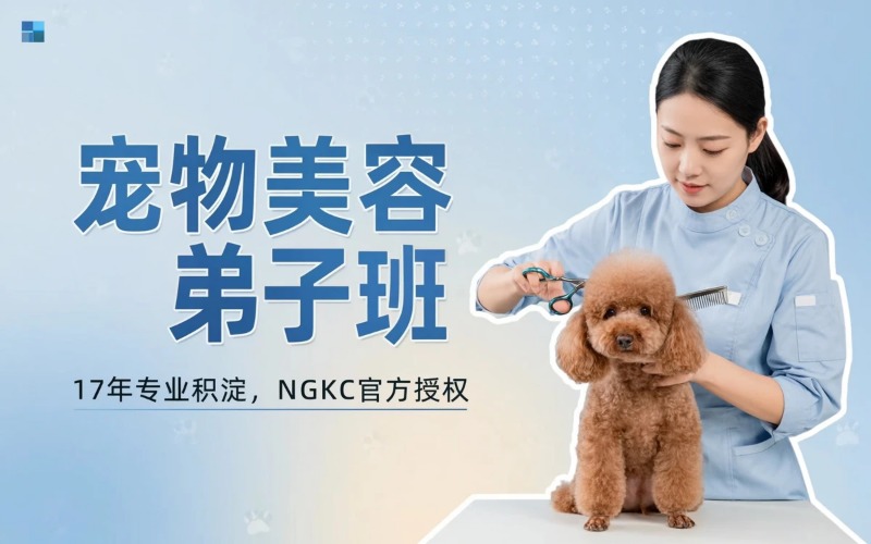 宜昌宠物美容培训弟子班