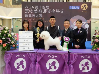 宜昌李刚宠美培训学校的机构荣誉一览