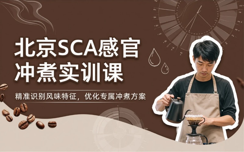 北京SCA感官与冲煮全阶实训课程